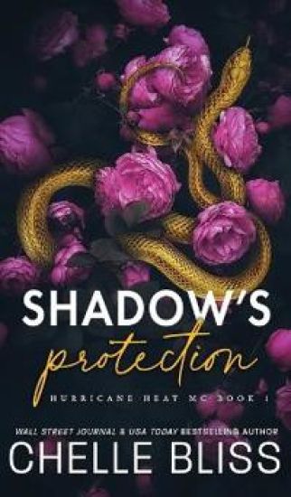 Shadow's Protection