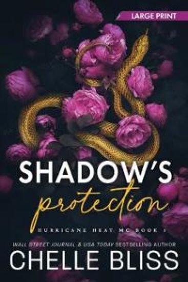Shadow's Protection