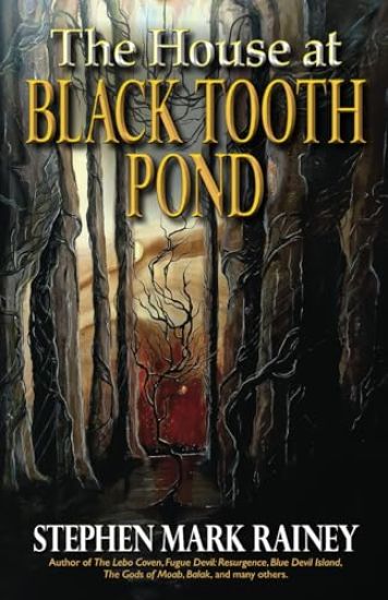 The House at Black Tooth Pond