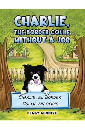 Charlie, The Border Collie Without a Job
