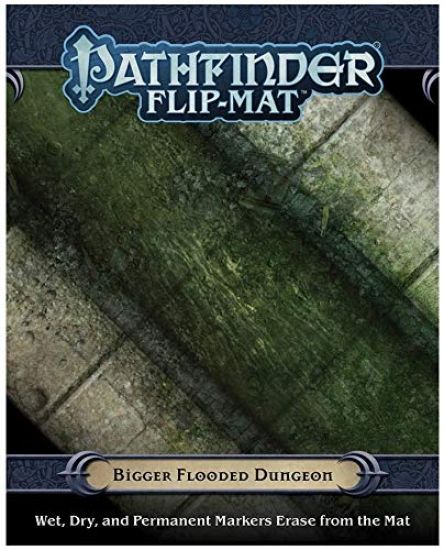 Pathfinder Flip-Mat: Bigger Flooded Dungeon