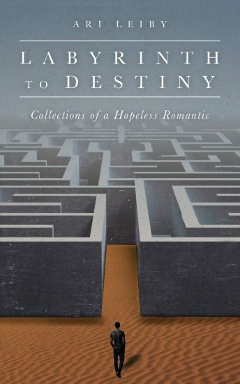 Labyrinth to Destiny
