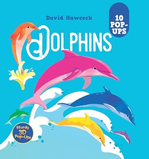 Dolphins: 10 Pop-Ups