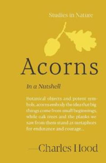 Acorns