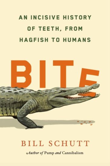 BITE AN INCISIVE HIST OF TEETH FROM HAGF