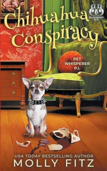 Chihuahua Conspiracy