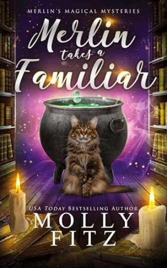 Merlin Takes a Familiar