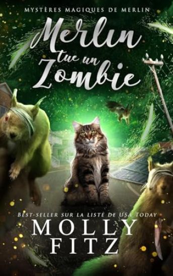 Merlin tue un zombie