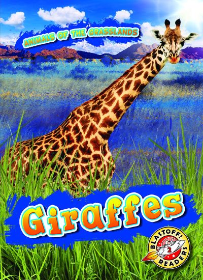 Giraffes