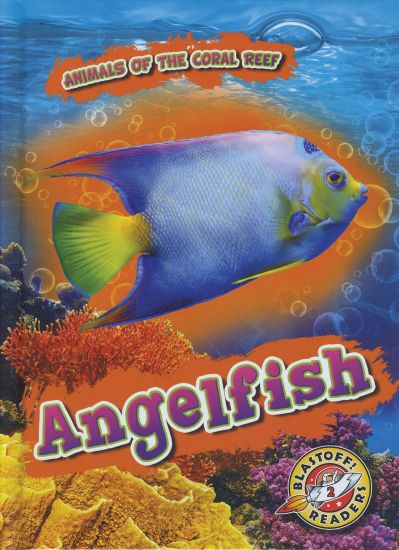 Angelfish