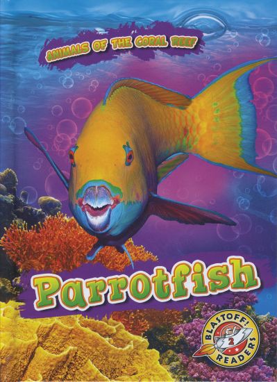 Parrotfish