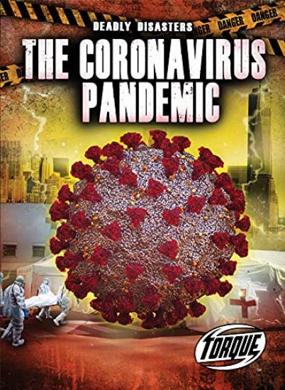 The Corona Virus Pandemic