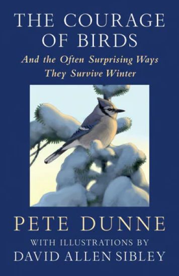The Courage of Birds
