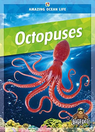 Octopuses