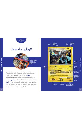 Curious about Pokémon