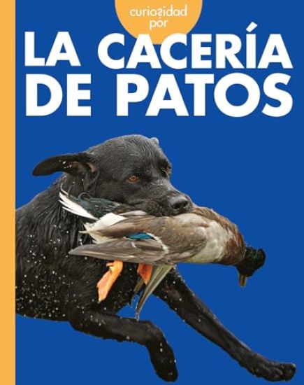 Curiosidad Por La Cacería de Patos