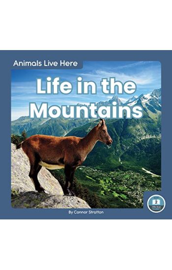 Life in the Mountains