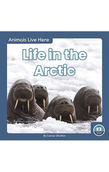 Life in the Arctic