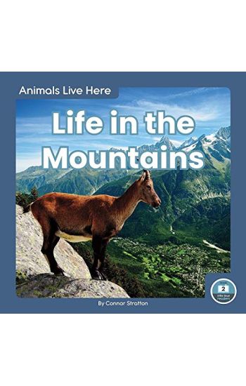 Life in the Mountains