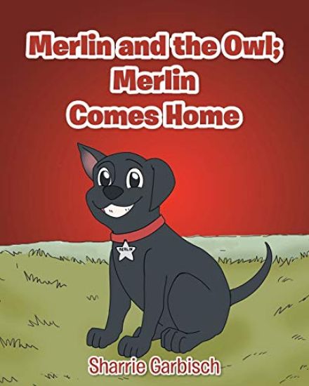 Merlin and the Owl
