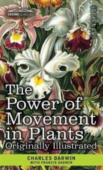 The Power of Movement in Plants