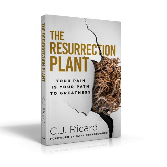 The Resurrection Plant