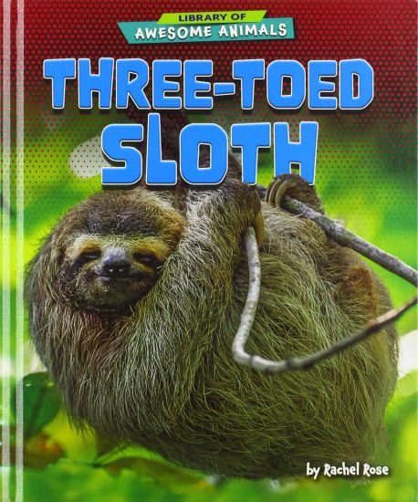 Three-Toed Sloth