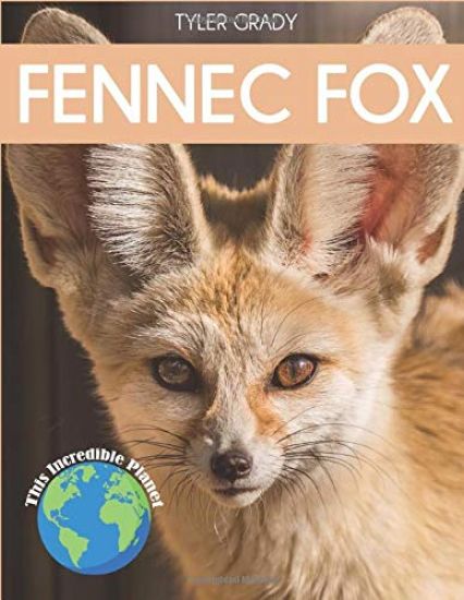 Fennec Fox