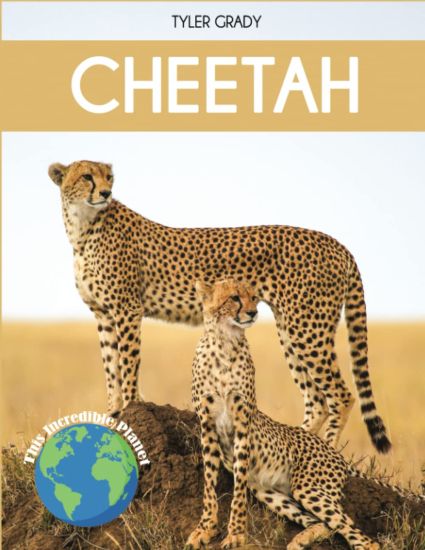 Cheetah