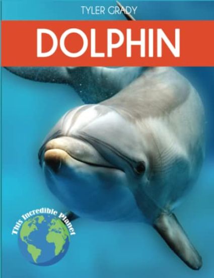 Dolphin