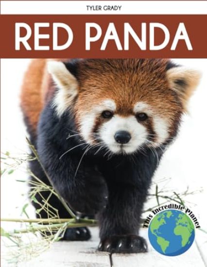 Red Panda
