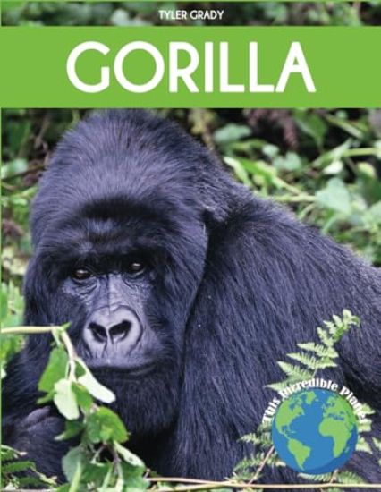 Gorilla