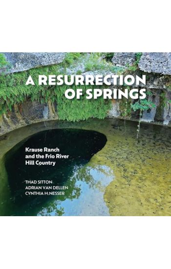 A Resurrection of Springs