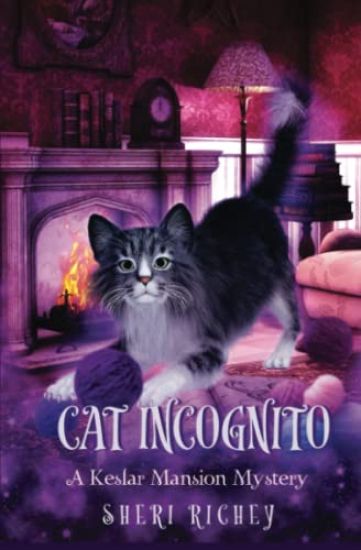 Cat Incognito