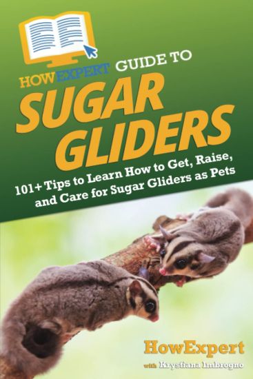 HowExpert Guide to Sugar Gliders