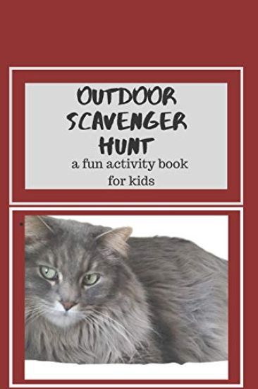 Outdoor Scavenger Hunt A Fun Activity Book for Kids: A beautiful long haired gray cat is on the 6x9 cover of this paperback book for kids.