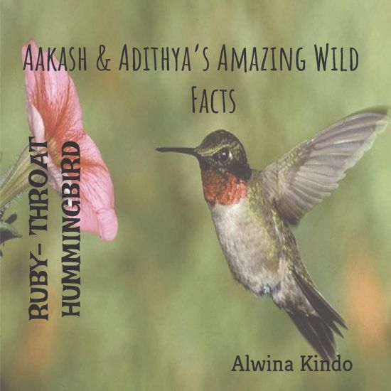 RUBY- THROATED HUMMINGBIRD Aakash & Adithya's Amazing Wild Facts