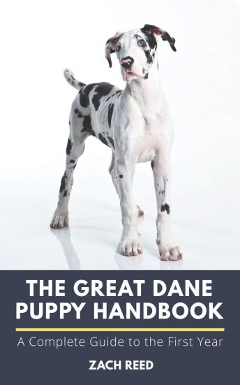 The Great Dane Puppy Handbook