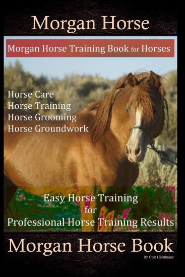 Morgan Horse, Morgan Horse Training Book for Horses, Horse Care, Horse Training, Horse Grooming, Horse Groundwork, Easy Horse Training for Professiona