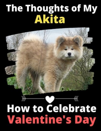 The Thoughts of My Akita: How to Celebrate Valentine's Day