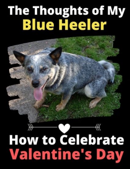 The Thoughts of My Blue Heeler: How to Celebrate Valentine's Day