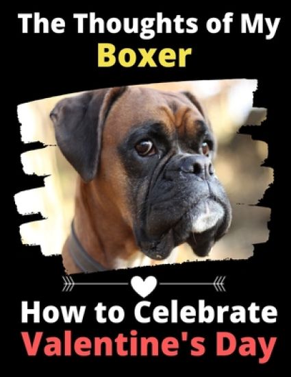 The Thoughts of My Boxer: How to Celebrate Valentine's Day