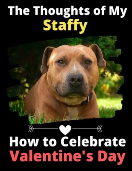 The Thoughts of My Staffy: How to Celebrate Valentine's Day
