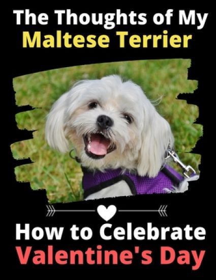 The Thoughts of My Maltese Terrier