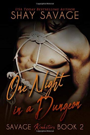 One Night in a Dungeon: Savage Kinksters Book 2