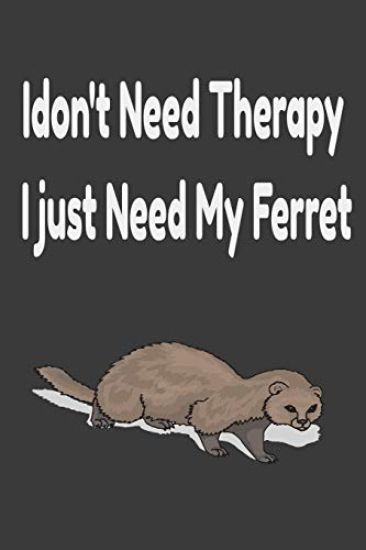 i don't need therapy i just need my ferret: ferreiro, ferrell, ferret care