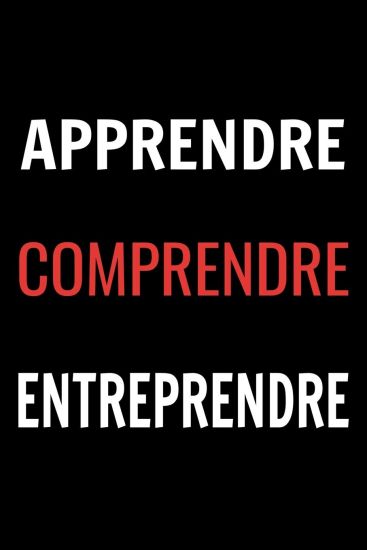 Apprendre Comprendre Entreprendre: Carnet de 110 pages pour les entrepreneurs, les investisseurs et les créateurs de projet.