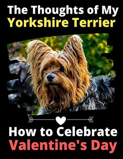 The Thoughts of My Yorkshire Terrier