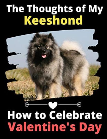 The Thoughts of My Keeshond: How to Celebrate Valentine's Day