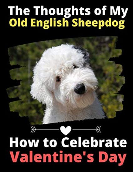 The Thoughts of My Old English Sheepdog